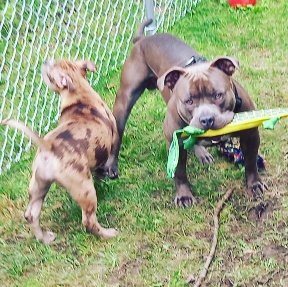 Meet your Posher, Jesisthabest - Picture 12 of 12